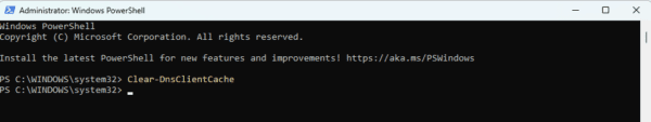 Clearing dns cache with the powershell 600x113 - What Is DNS Cache on Windows and How Do I Flush It?