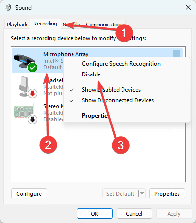 Mic disable - Best Windows 11 Settings for PC Gaming