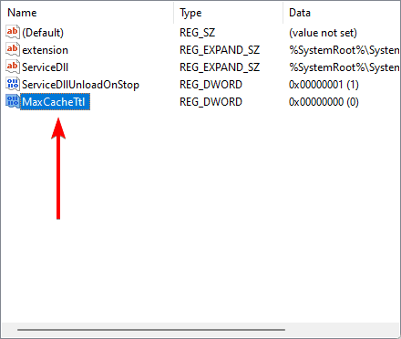 New value - What Is DNS Cache on Windows and How Do I Flush It?