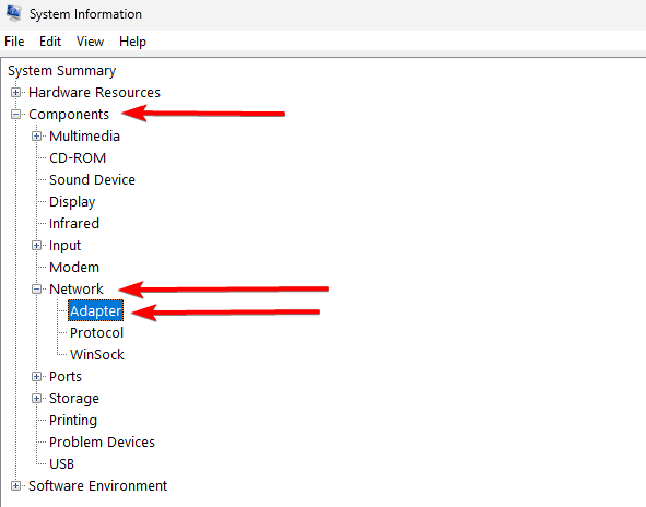 Opening the network adapter category - What is the Windows 11 MAC Address and How Do I Find It?