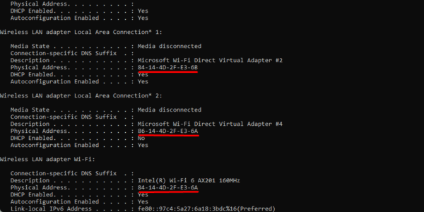 Physical address displayed on the command prompt 600x300 - What is the Windows 11 MAC Address and How Do I Find It?