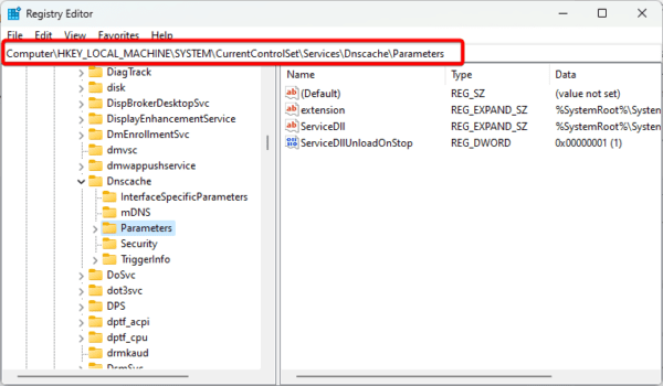 registry edito DNS parameters folder 600x350 - What Is DNS Cache on Windows and How Do I Flush It?